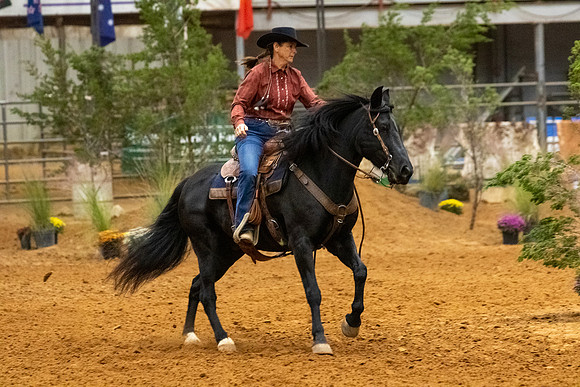 MustangR1-372
