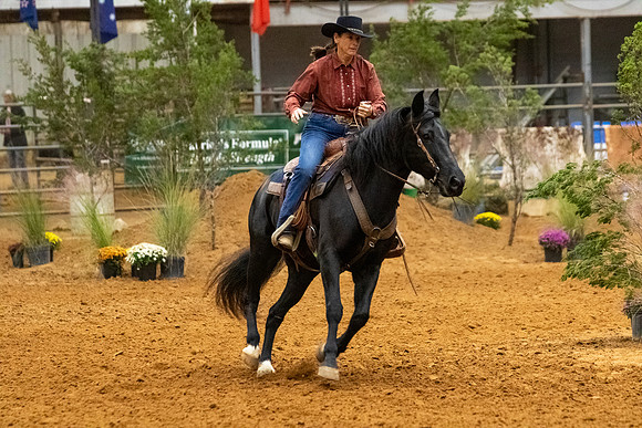 MustangR1-373