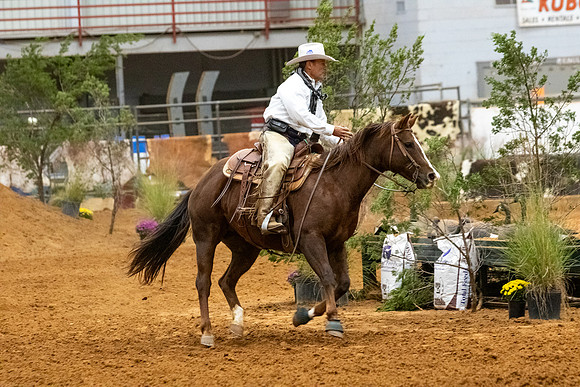 RidesmartR1-25