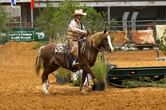 MustangR1-49