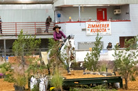 InternationalR1-224
