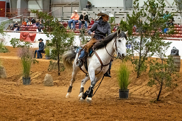 MustangR1-242