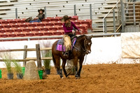 NonProR1-960
