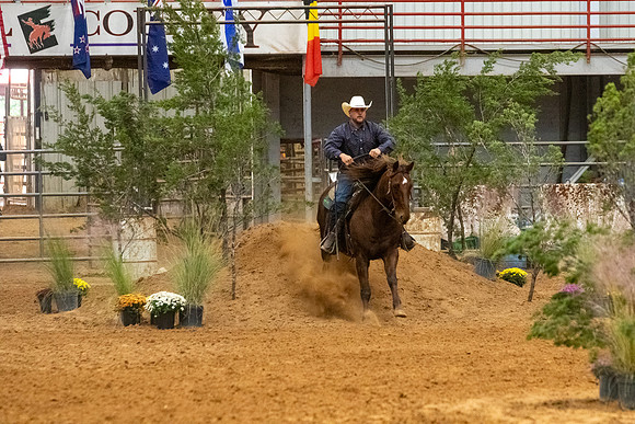 InternationalR1-14