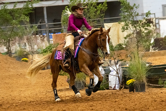 MustangR1-148