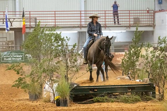 ProR1-58