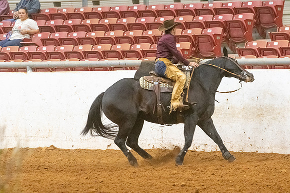 ProR1-412