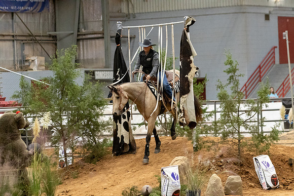 InternationalFinals-6382