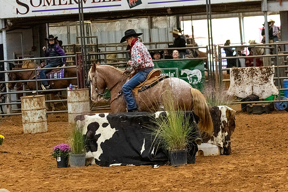NoviceR2-424