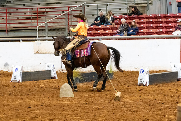 NonProR2-588