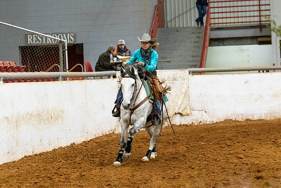 NoviceR2-780