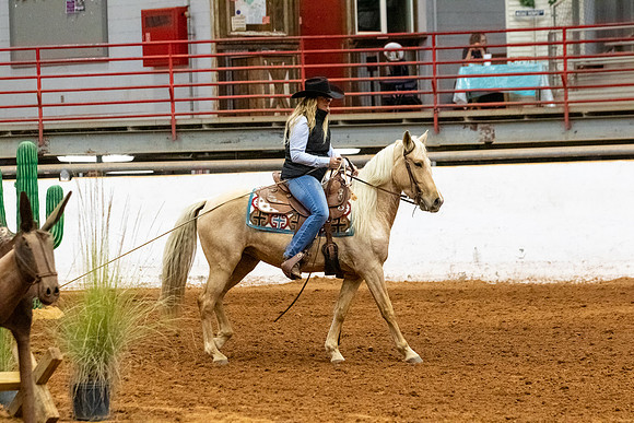 InternationalR2-113