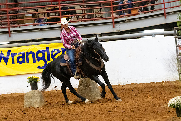 MustangR2-230