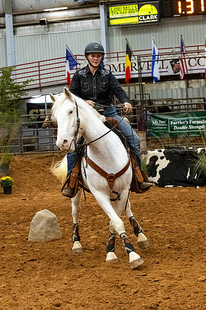 MustangR2-442