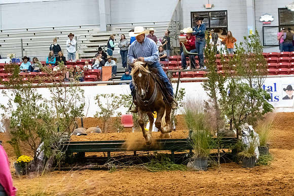 MustangR2-345