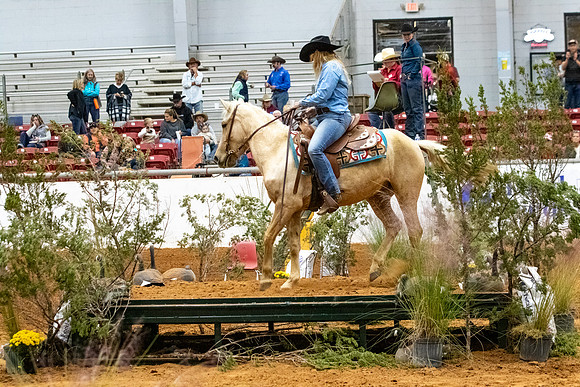 MustangR2-219