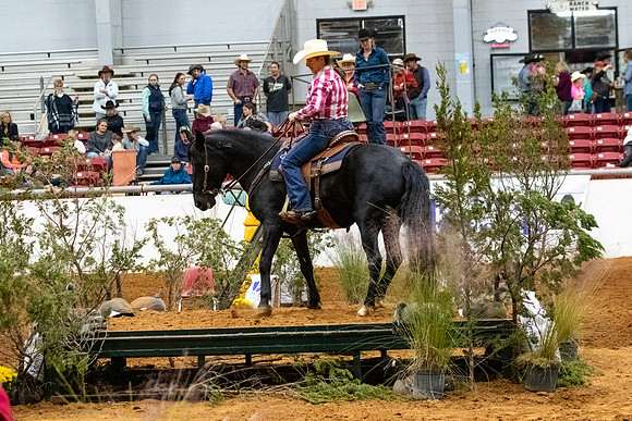 MustangR2-244