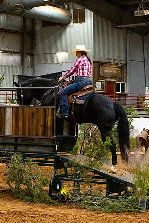 MustangR2-248