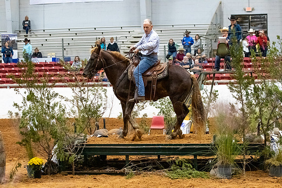 MustangR2-191