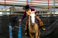 NewPartnerMustang-14