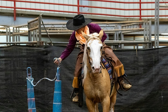 NewPartnerMustang-14