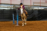 NewPartnerMustang-15