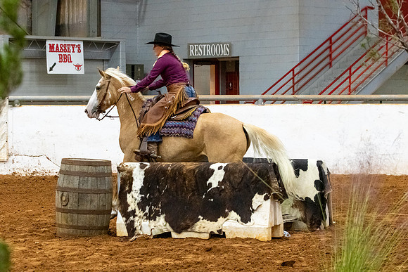 NewPartnerMustang-19
