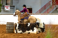NewPartnerMustang-18