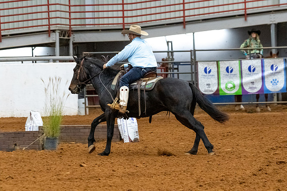 NewPartnerMustang-121