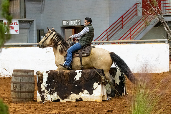NewPartnerMustang-44