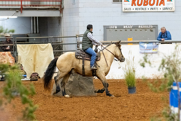 NewPartnerMustang-47