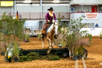 NewPartnerMustang-4