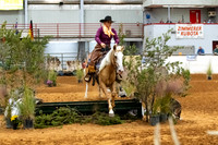 NewPartnerMustang-5