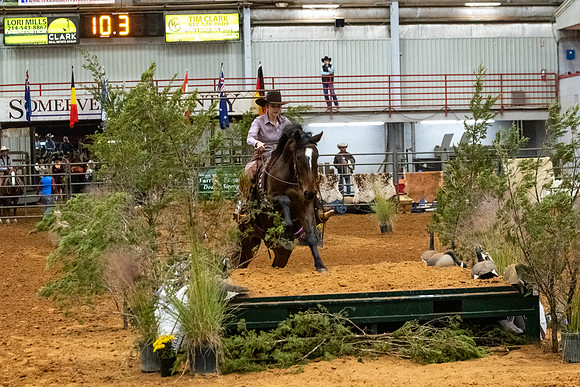 NewPartnerMustang-140