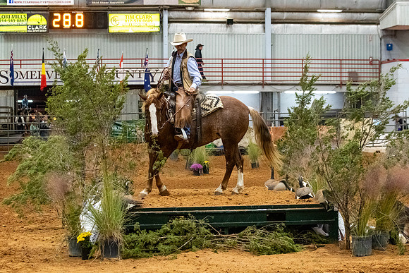 NewPartnerMustang-172
