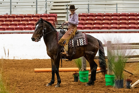 NewPartnerMustang-143