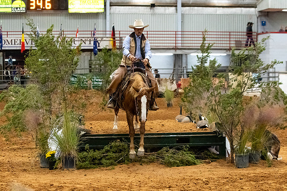 NewPartnerMustang-173