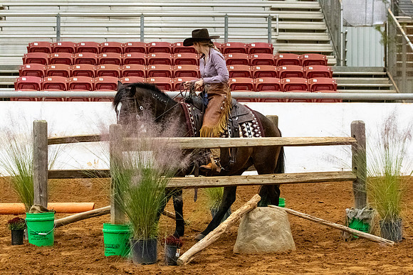 NewPartnerMustang-144