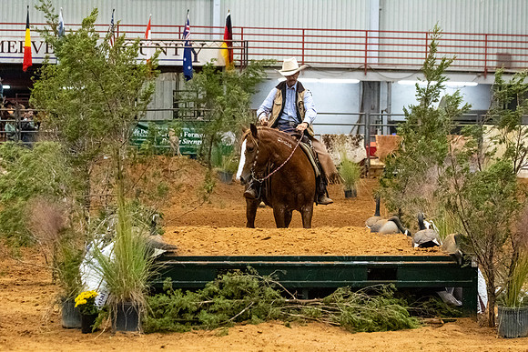 NewPartnerMustang-168