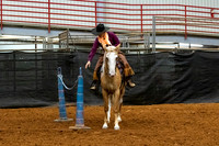 NewPartnerMustang-13