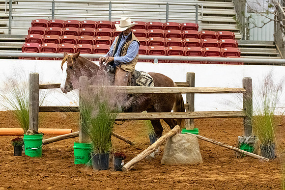 NewPartnerMustang-175