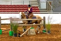 NewPartnerMustang-8