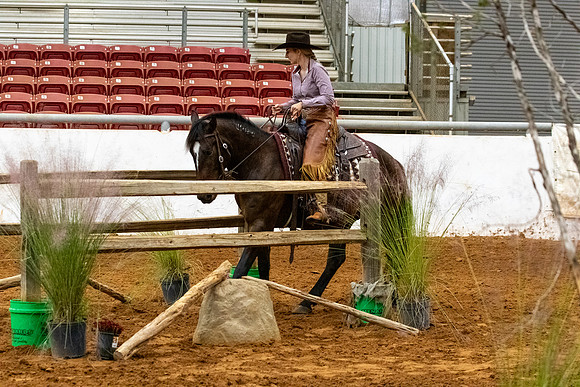 NewPartnerMustang-145