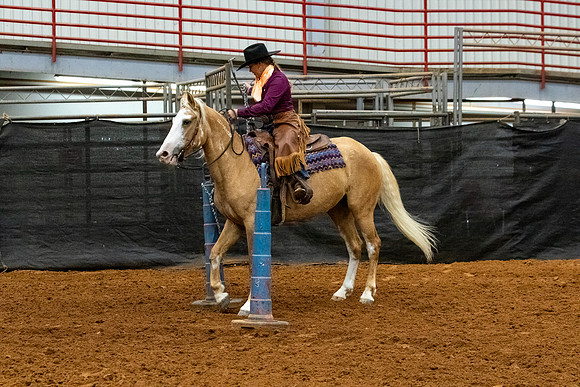 NewPartnerMustang-16