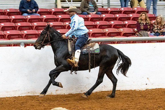 NewPartnerMustang-122