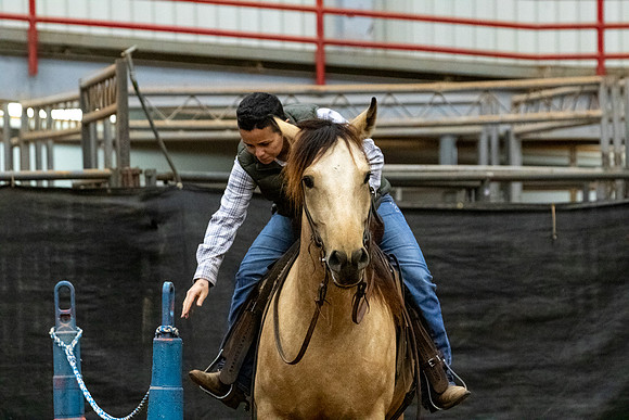 NewPartnerMustang-40