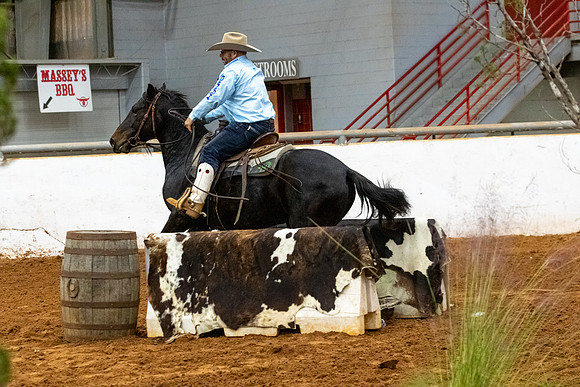 NewPartnerMustang-128