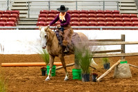 NewPartnerMustang-6