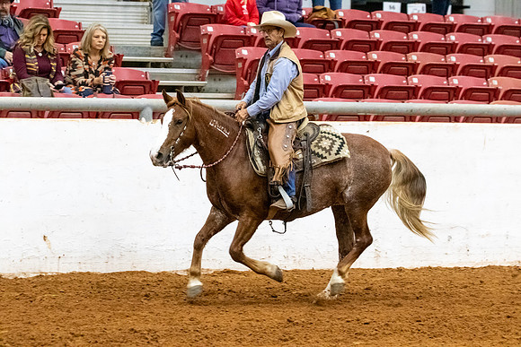 NewPartnerMustang-182