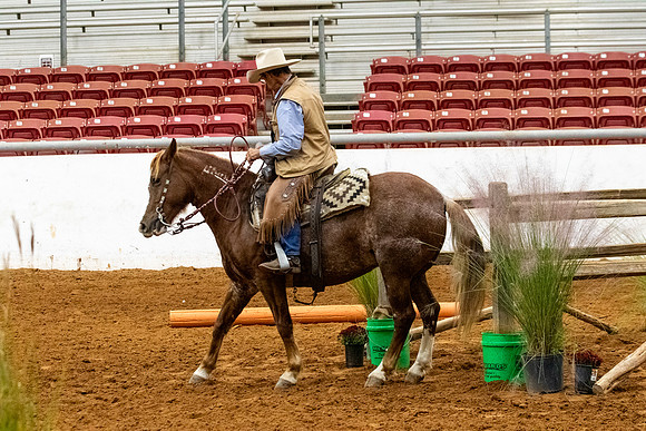 NewPartnerMustang-174